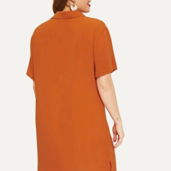 Forever 21 Brown Squash Tunic NWOT Sz S - Picture 2 of 14